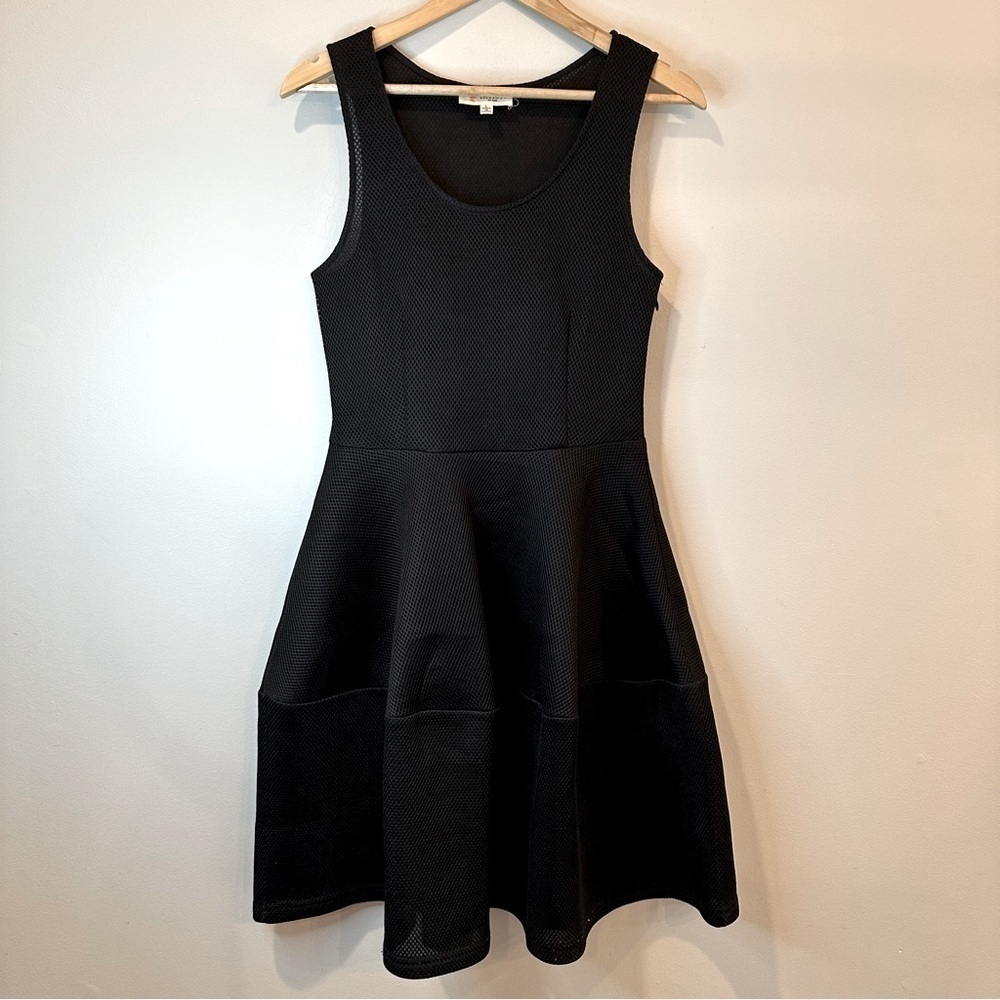 L’Atiste By Amy Fit Flare Black Sleeveless Mesh Dress A Line Size Large